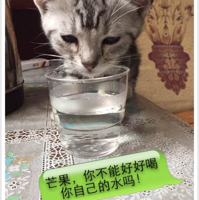 利物浦希望大学学历认证办理